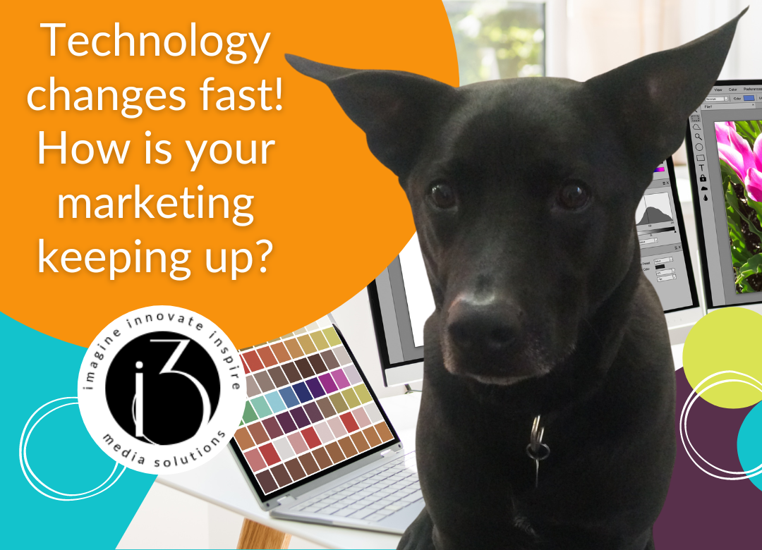 digital marketing dog image