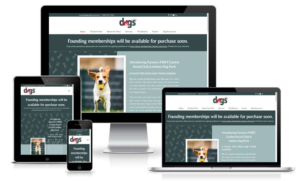 Dogs of Tucson website design image