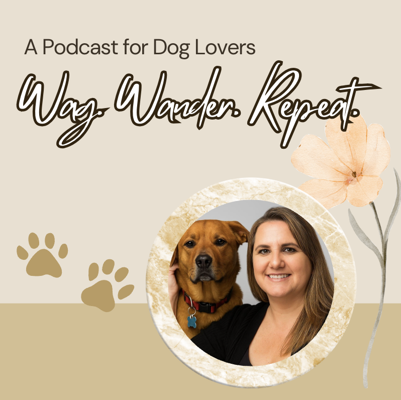 wag wander repeat podcast image