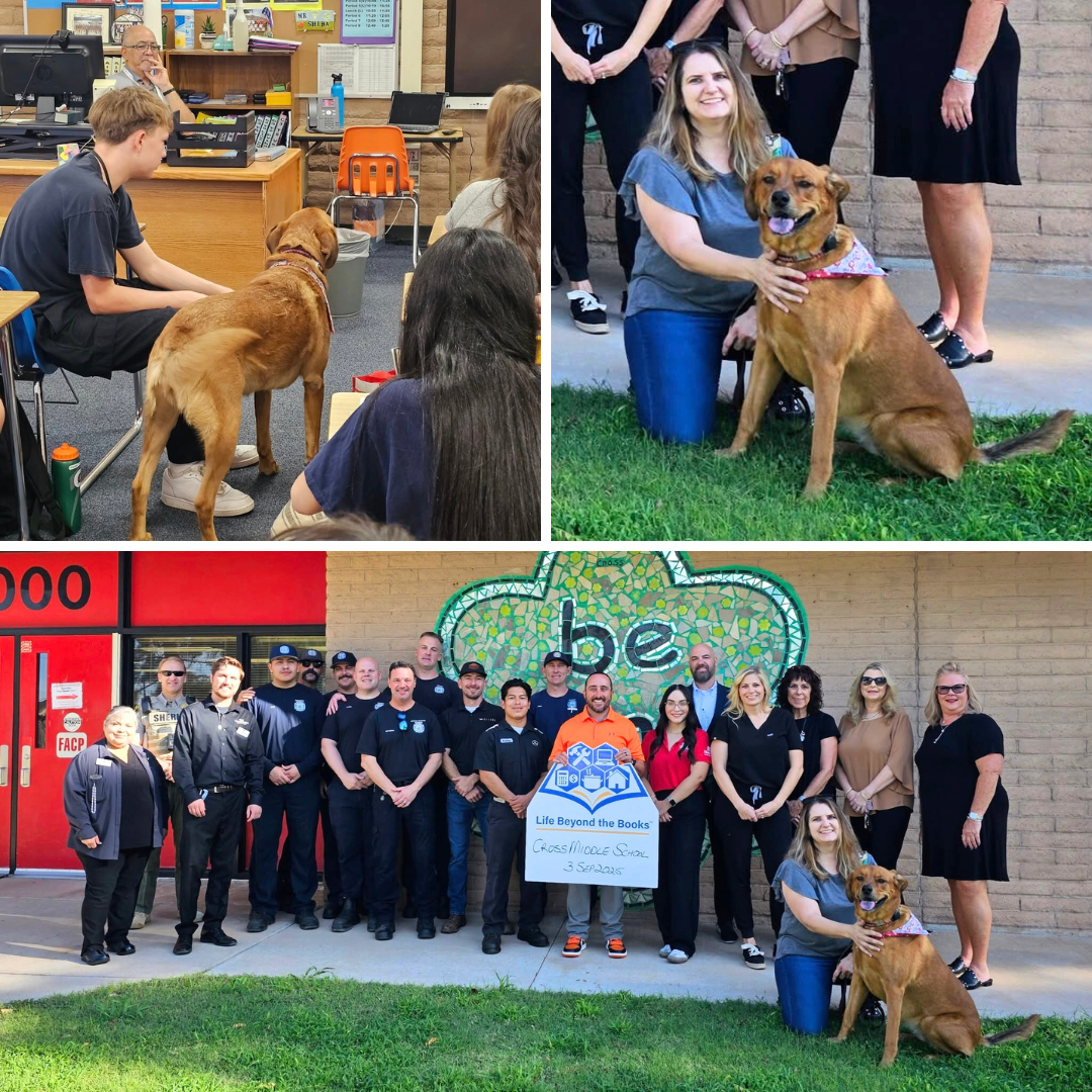 volunteering with life beyond the books image